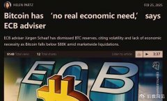 BTC在发展中国家的真实需