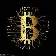 新加坡加密货币崛起：年 