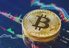 详细了解比特币(BTC)一